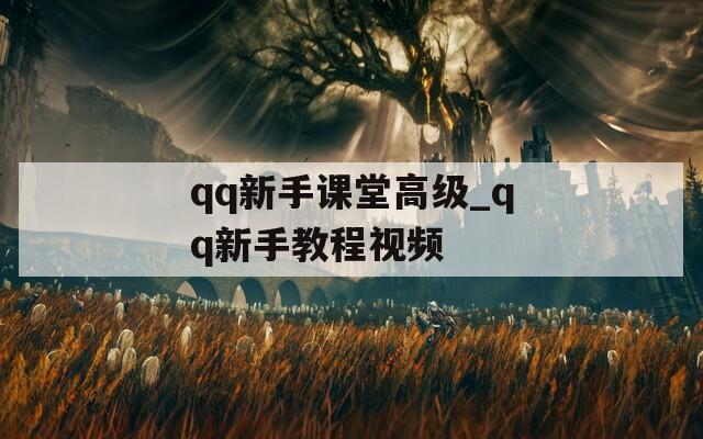 qq新手课堂高级_qq新手教程视频