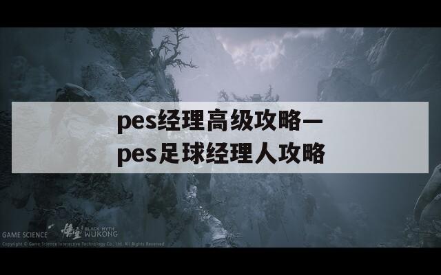 pes经理高级攻略—pes足球经理人攻略