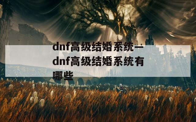 dnf高级结婚系统—dnf高级结婚系统有哪些