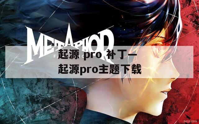 起源 pro 补丁—起源pro主题下载