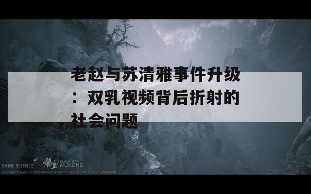 老赵与苏清雅事件升级：双乳视频背后折射的社会问题