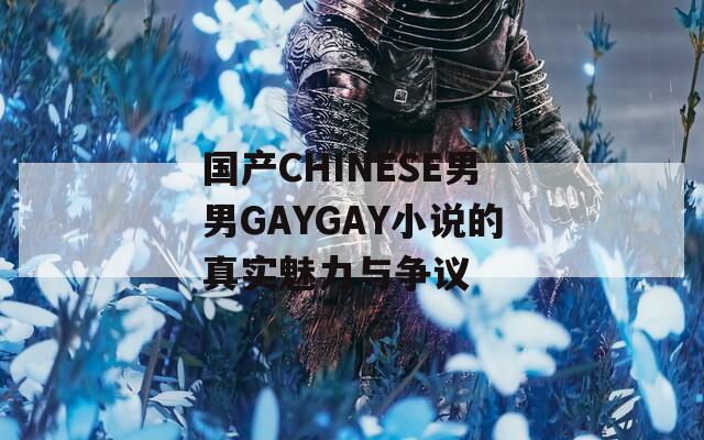 国产CHINESE男男GAYGAY小说的真实魅力与争议