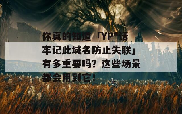 你真的知道「YP*请牢记此域名防止失联」有多重要吗？这些场景都会用到它！