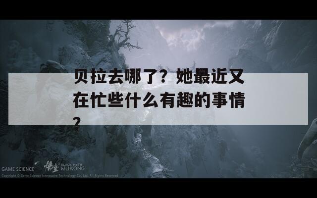 贝拉去哪了？她最近又在忙些什么有趣的事情？