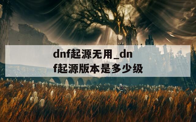 dnf起源无用_dnf起源版本是多少级