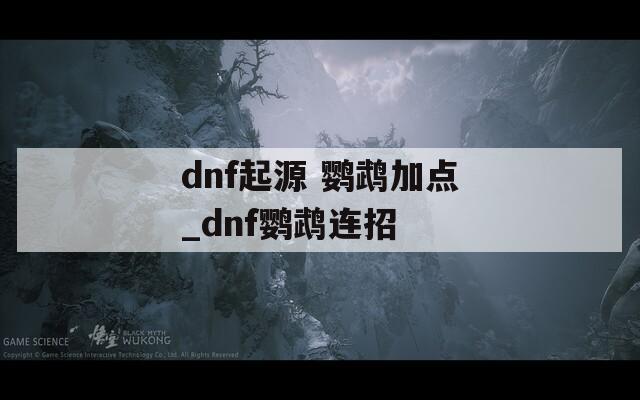 dnf起源 鹦鹉加点_dnf鹦鹉连招