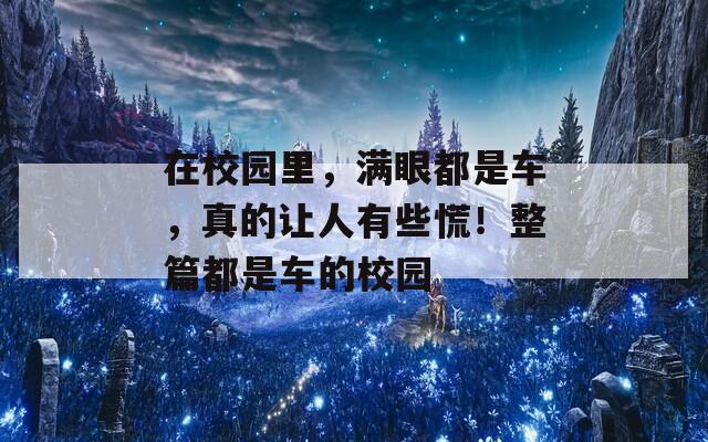 在校园里，满眼都是车，真的让人有些慌！整篇都是车的校园