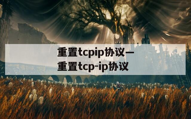 重置tcpip协议—重置tcp-ip协议