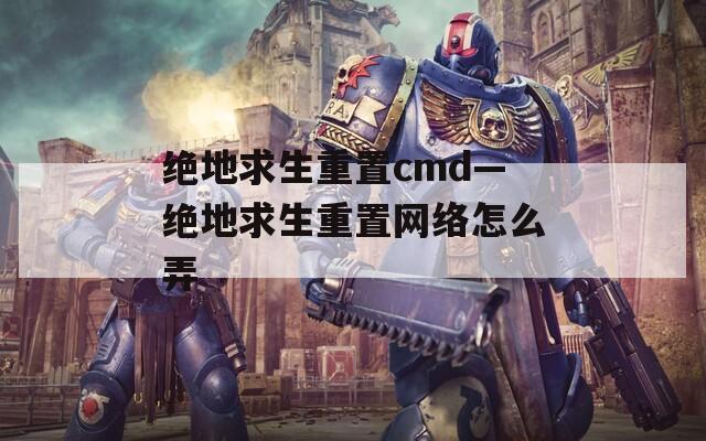 绝地求生重置cmd—绝地求生重置网络怎么弄