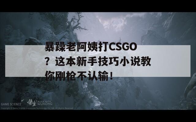 暴躁老阿姨打CSGO？这本新手技巧小说教你刚枪不认输！