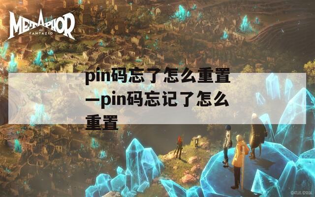 pin码忘了怎么重置—pin码忘记了怎么重置