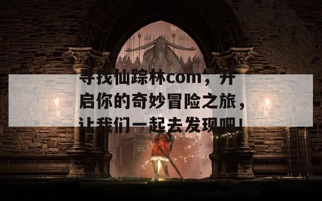 寻找仙踪林com，开启你的奇妙冒险之旅，让我们一起去发现吧！