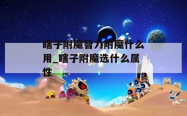 瞎子附魔智力附魔什么用_瞎子附魔选什么属性