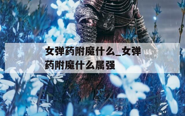 女弹药附魔什么_女弹药附魔什么属强