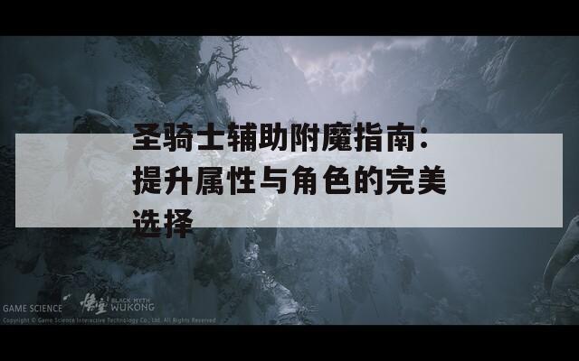 圣骑士辅助附魔指南：提升属性与角色的完美选择