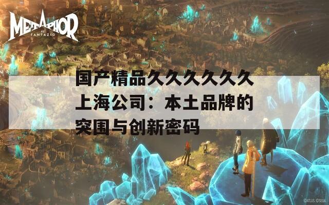 国产精品久久久久久久上海公司：本土品牌的突围与创新密码